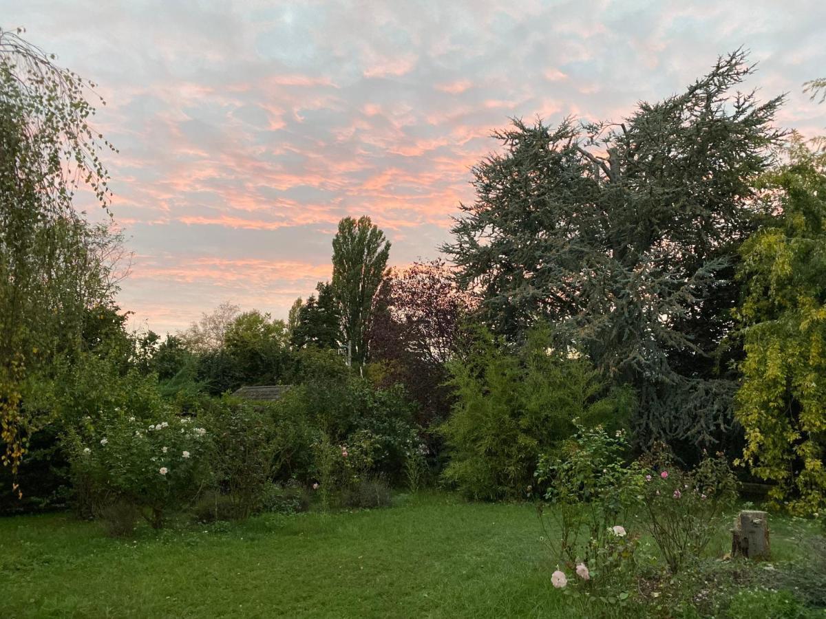 Villa Colmar Centre Avec Spa Et Double Parking מראה חיצוני תמונה